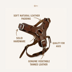 Luxury Leather Dog Harness with Brass Hardware