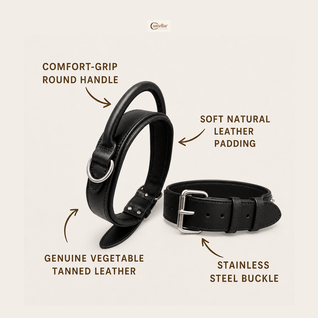 Handle Leather Dog Collar