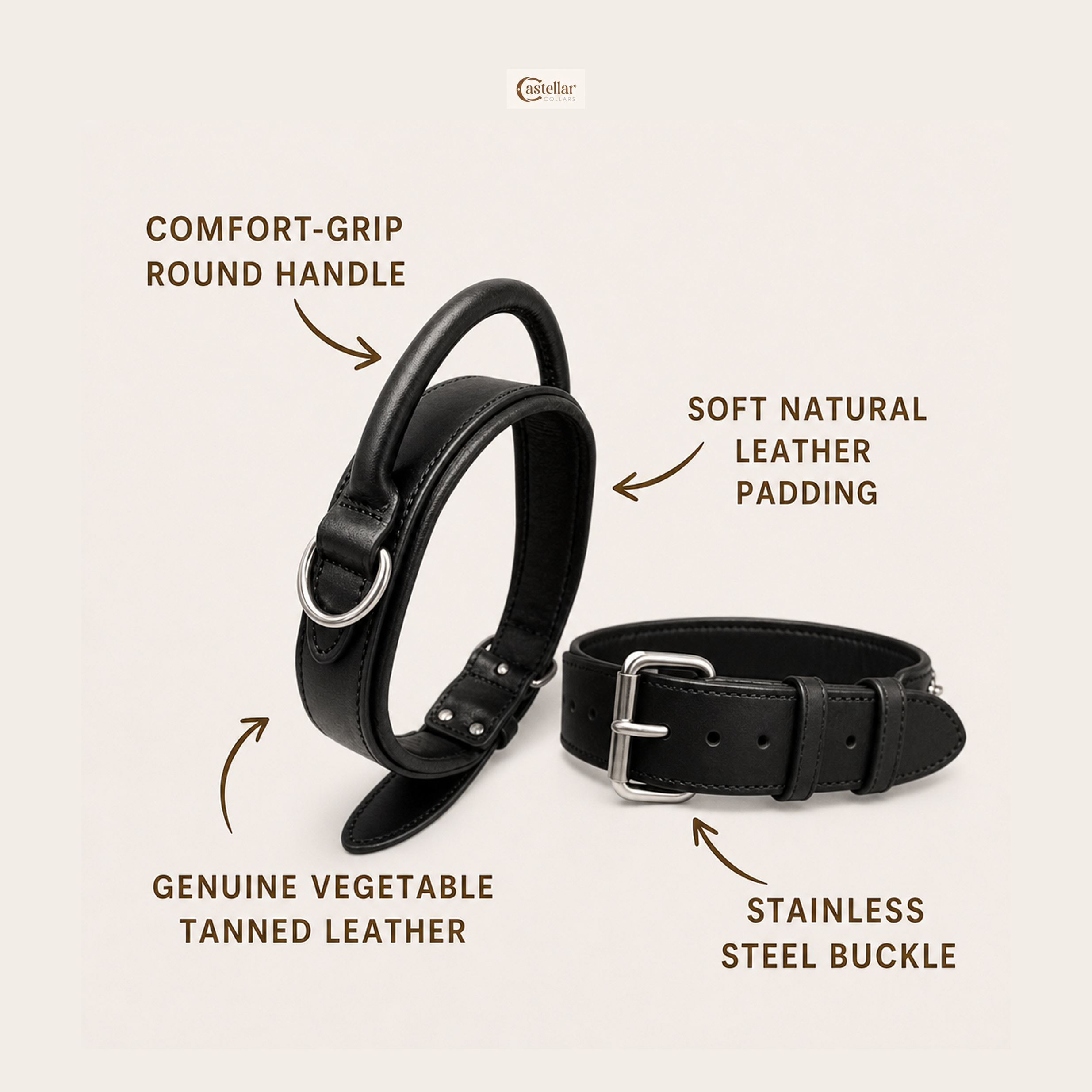 Handle Leather Dog Collar