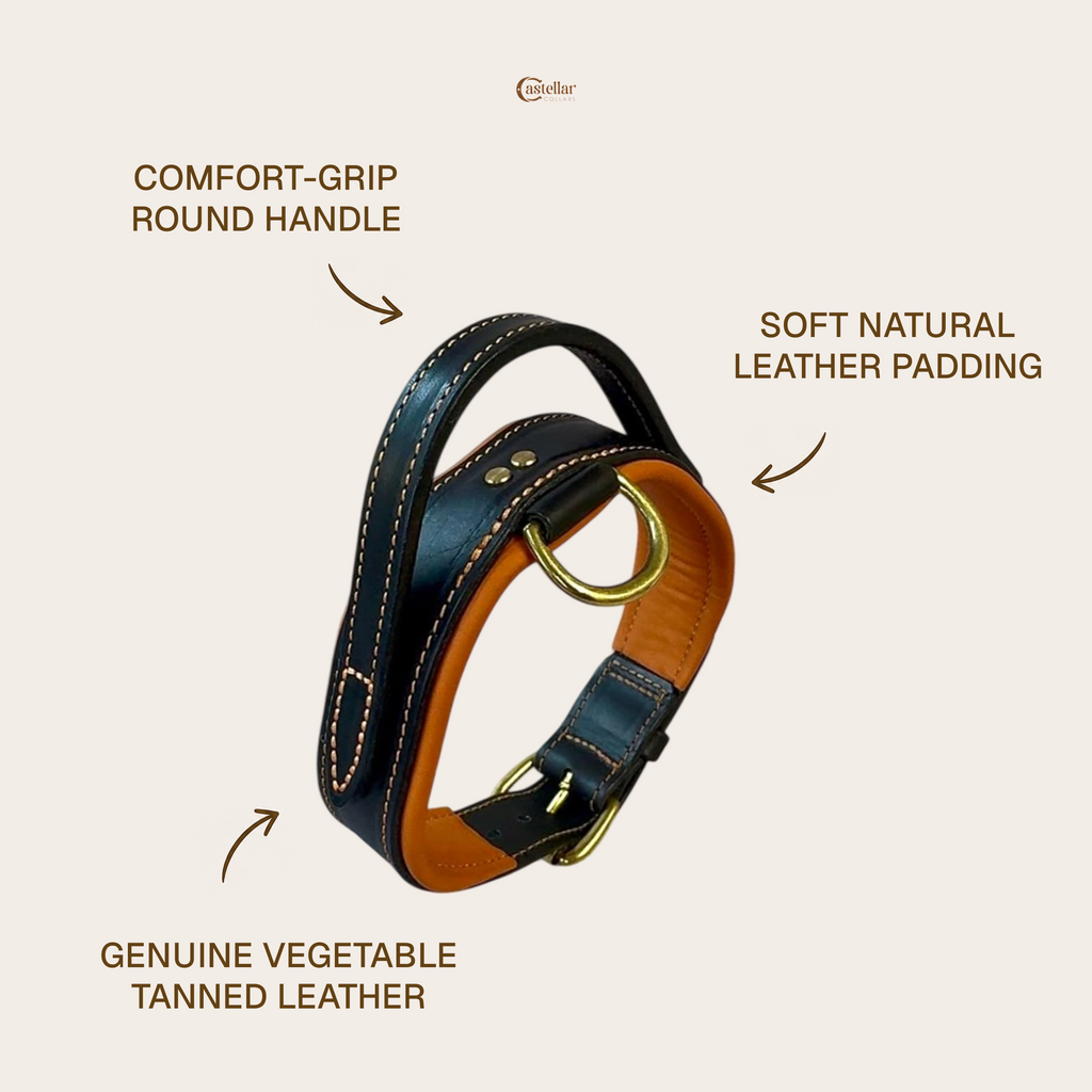Handle Leather Dog Collar