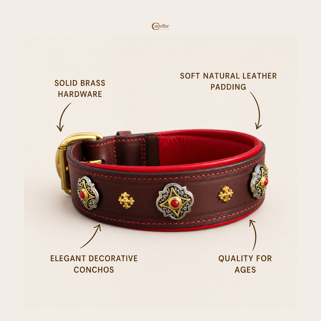 Red Decorative Leather Dog Collar