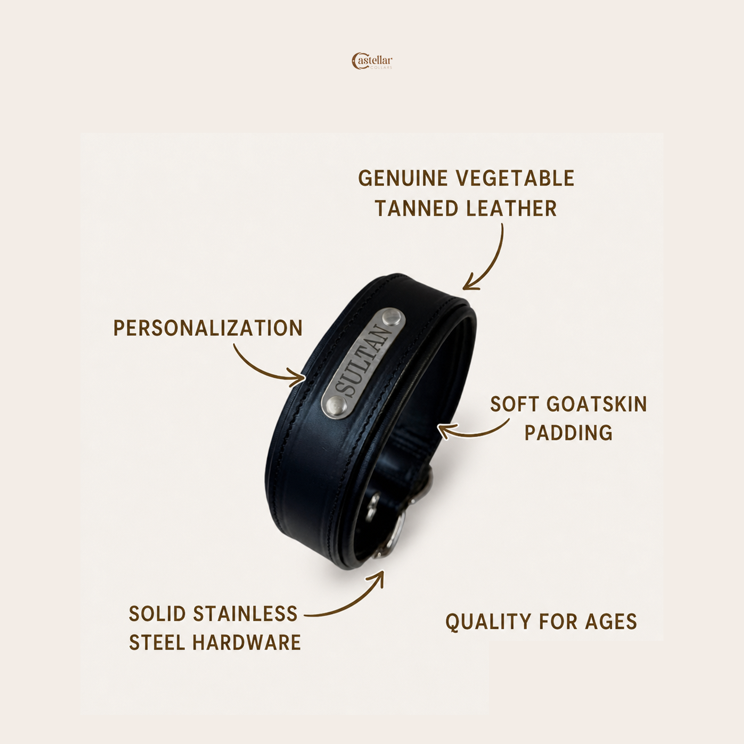 Leather Dog Collar 2.0