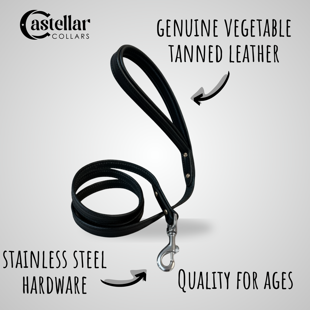 Classic Leather Dog Leash