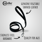 Classic Leather Dog Leash