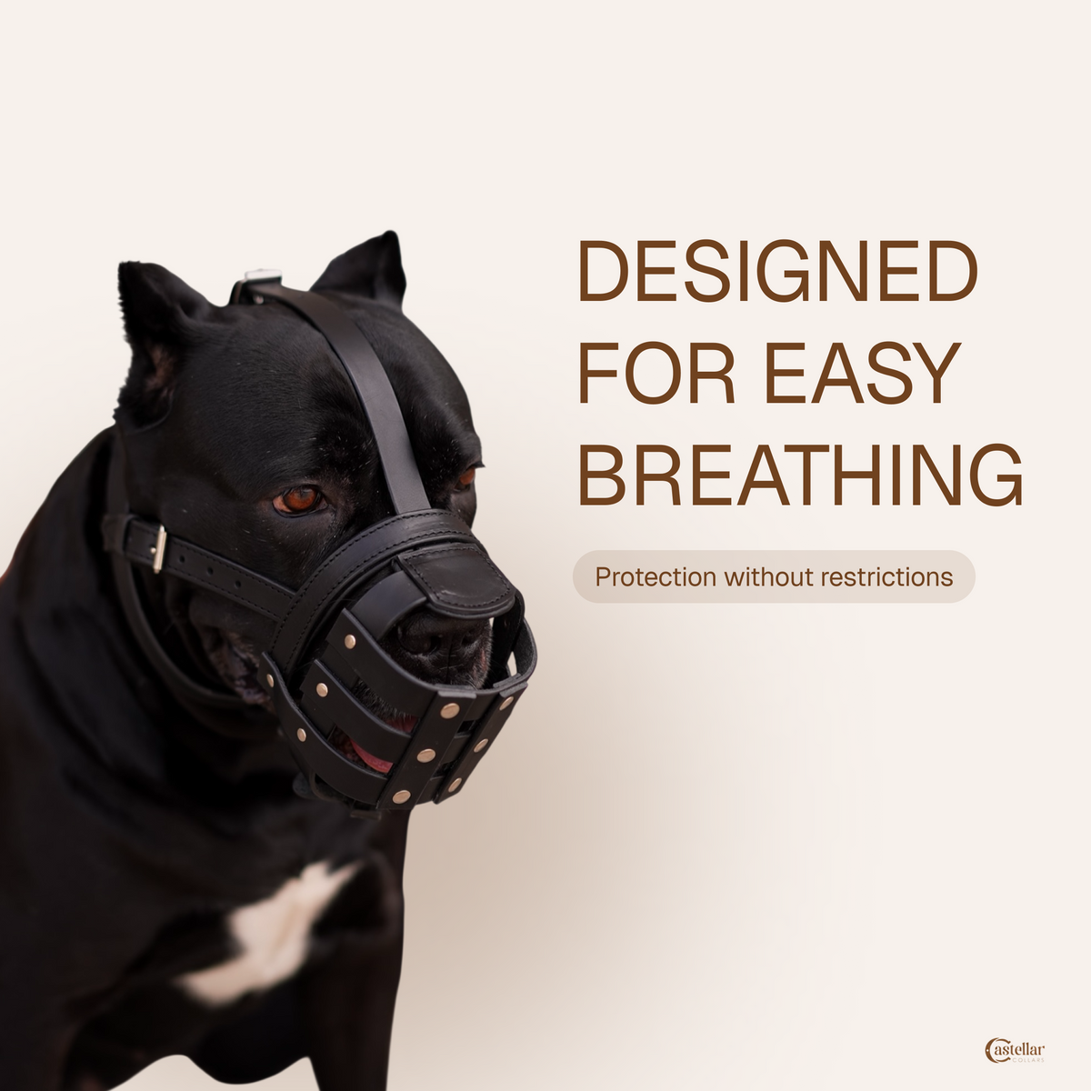 Leather Dog Walking Muzzle