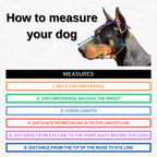 Dog Muzzle and Head Collar Set, Large Dog Muzzle Near Me
