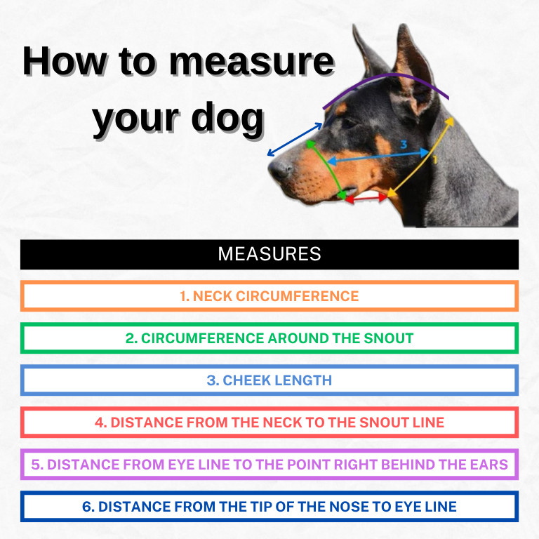 Dog Muzzle and Head Collar Set, Large Dog Muzzle Near Me