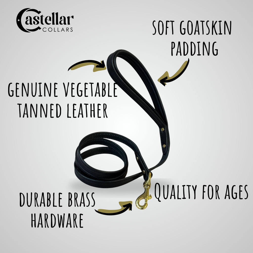 Castellar Leash with Soft Padded Handle