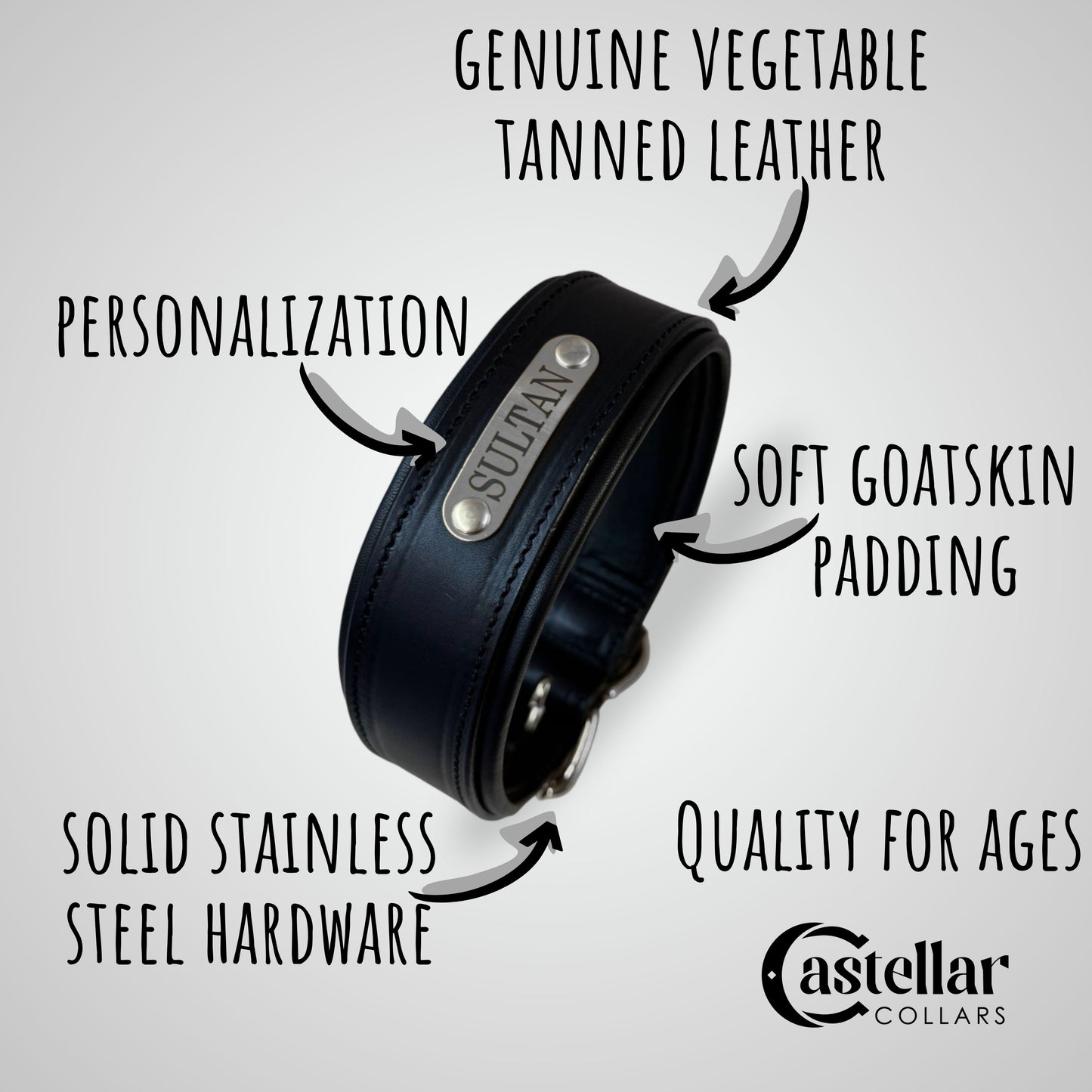 Classic Padded Leather Collar