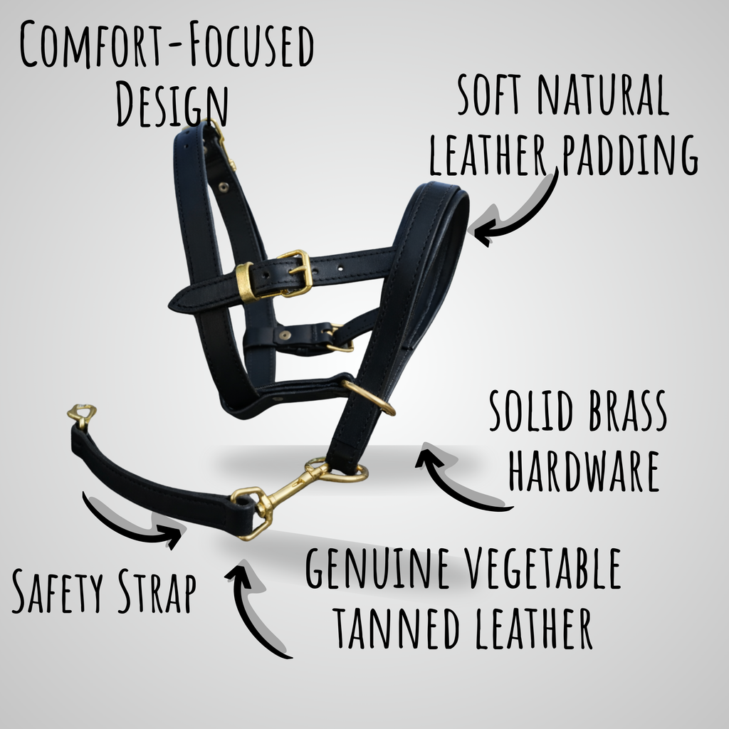 Soft Padded Nose Dog Head Halter Stop Pulling