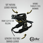 Front Clip Dog Harness Leather for Large Dog