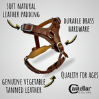 Premium Leather Dog Harness Set for Large Dogs, Wide Padded Dog Collar, Heavy Duty Leather Dog Leash Braided Ends, Custom Big Dog Harness