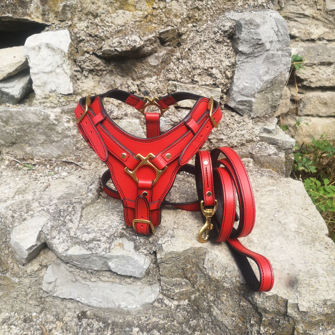 Ready Made Red Leather Dog Harness and Leash Set