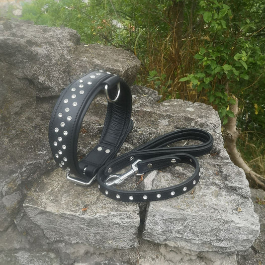 Premade Diamond Collar and Leash Set