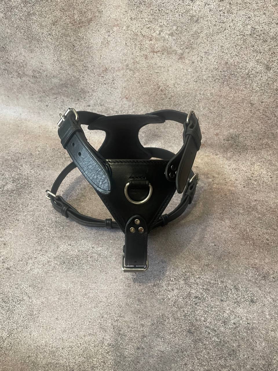 Pitbull Leather Harness