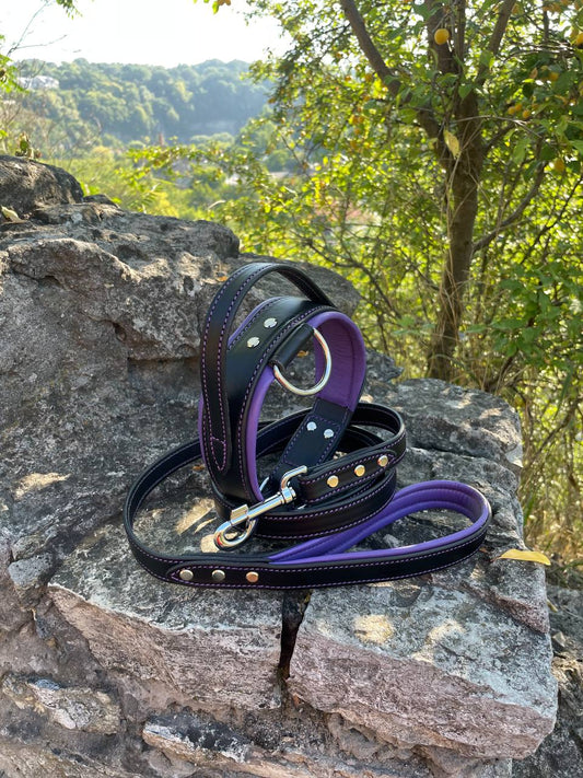 Black and Purple Leather Dog Collar and Leash Set
