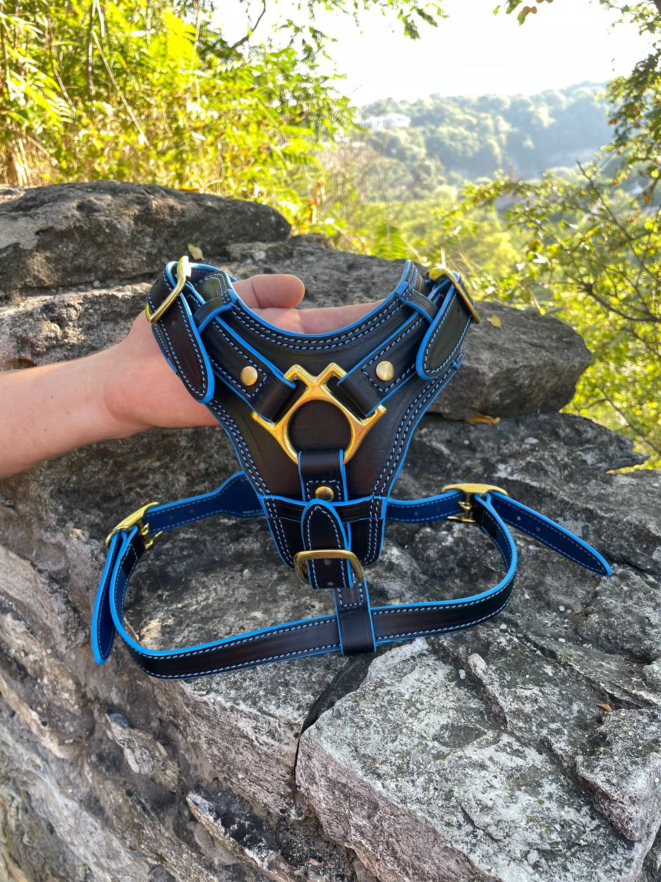 NEW Exclusive Y-Front Leather Dog Harness