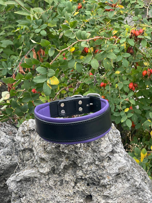 Wide Padded Leather Dog Collar