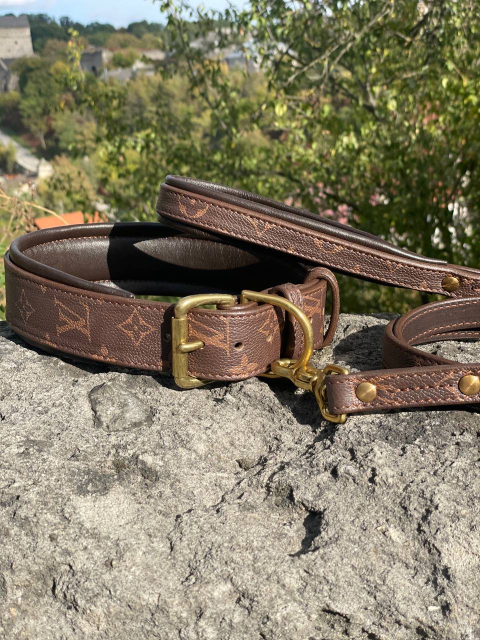 LV Leather Collar and Leash Set