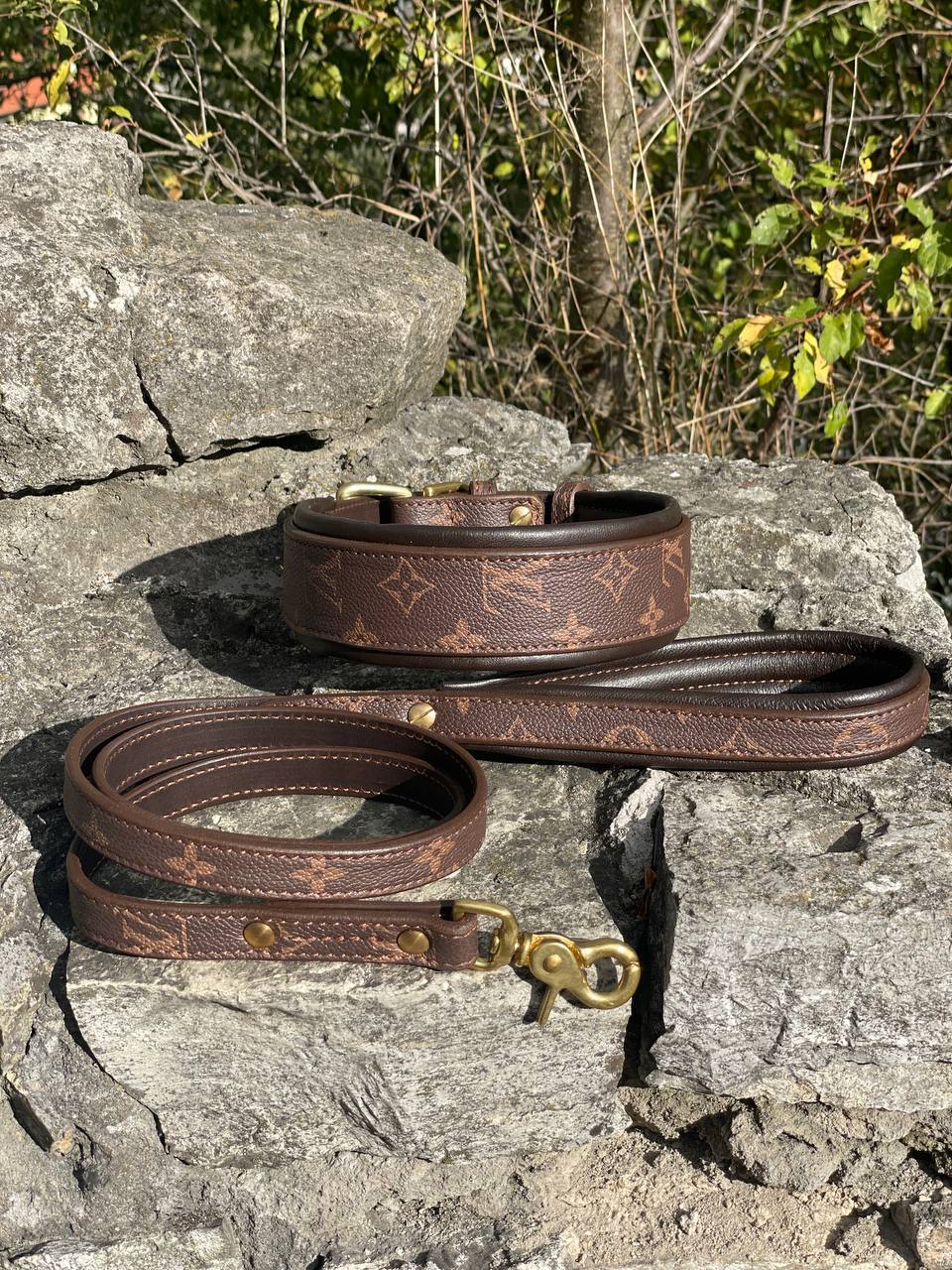 LV Leather Collar and Leash Set