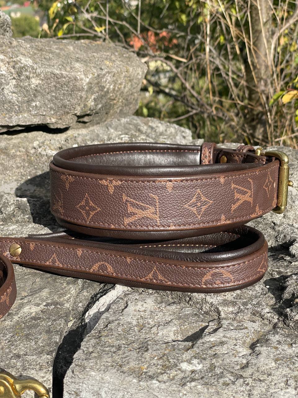 LV Leather Collar and Leash Set