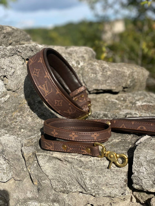 LV Leather Collar and Leash Set