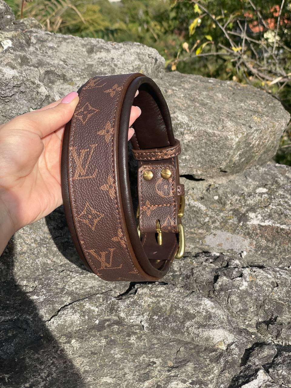 LV Leather Collar
