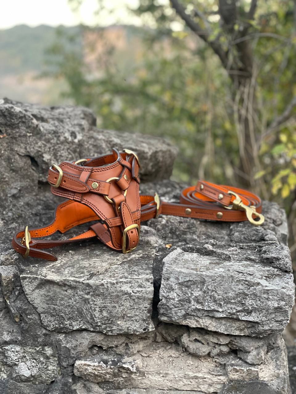 Castellar Leather Dog Harness and Leash Set