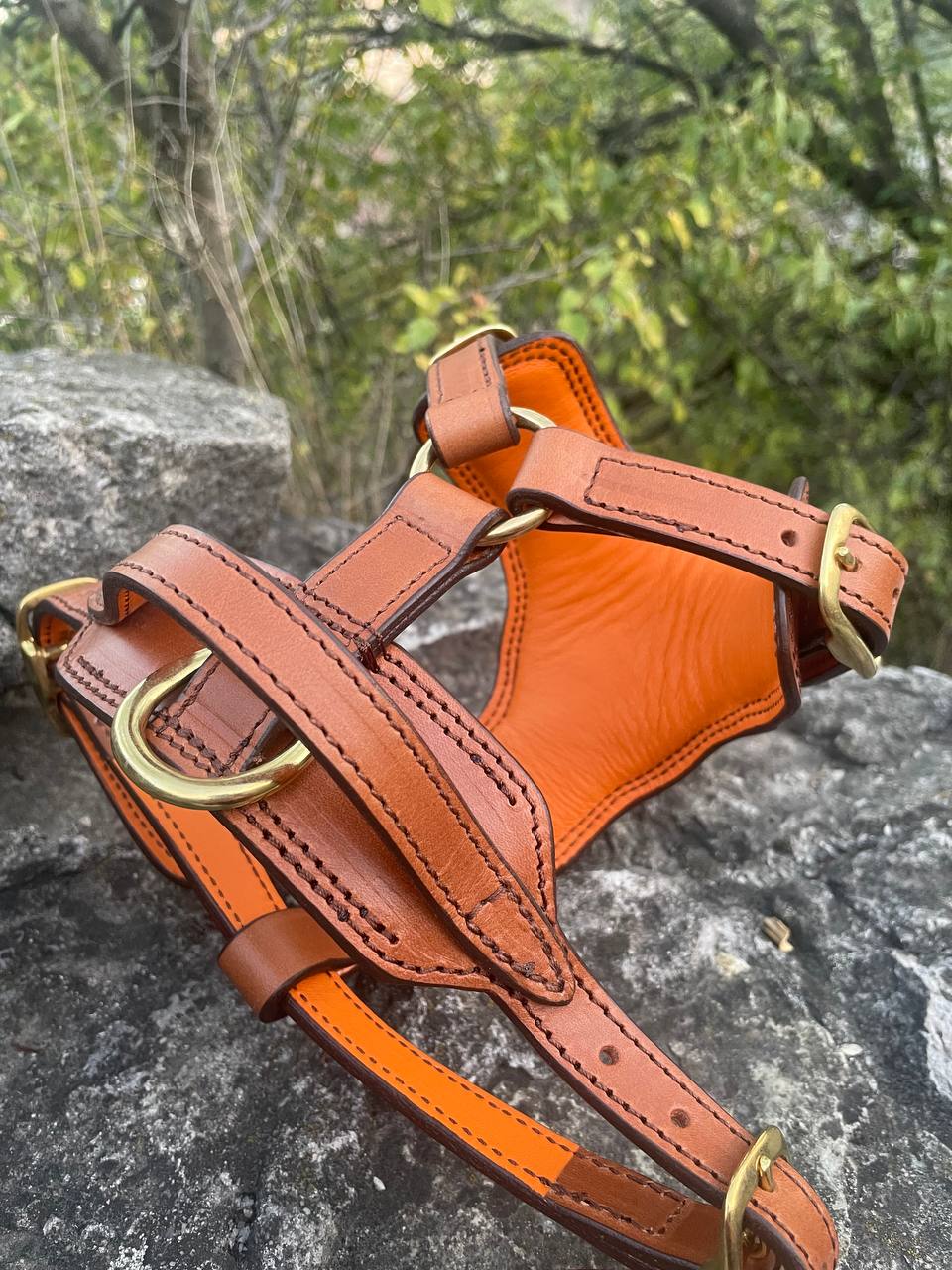 Castellar Leather Dog Harness and Leash Set