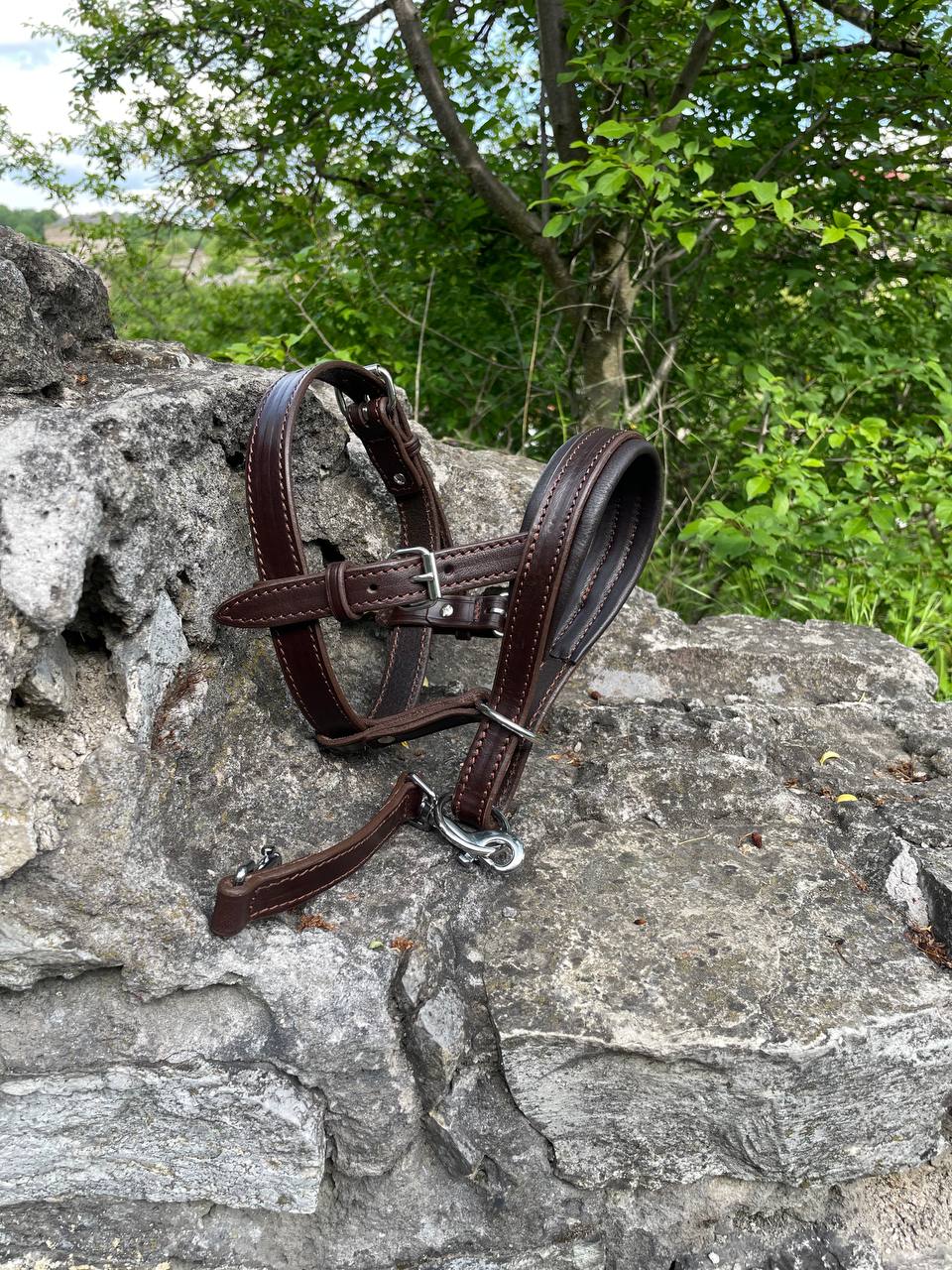 Leather No Pull Dog Head Collar