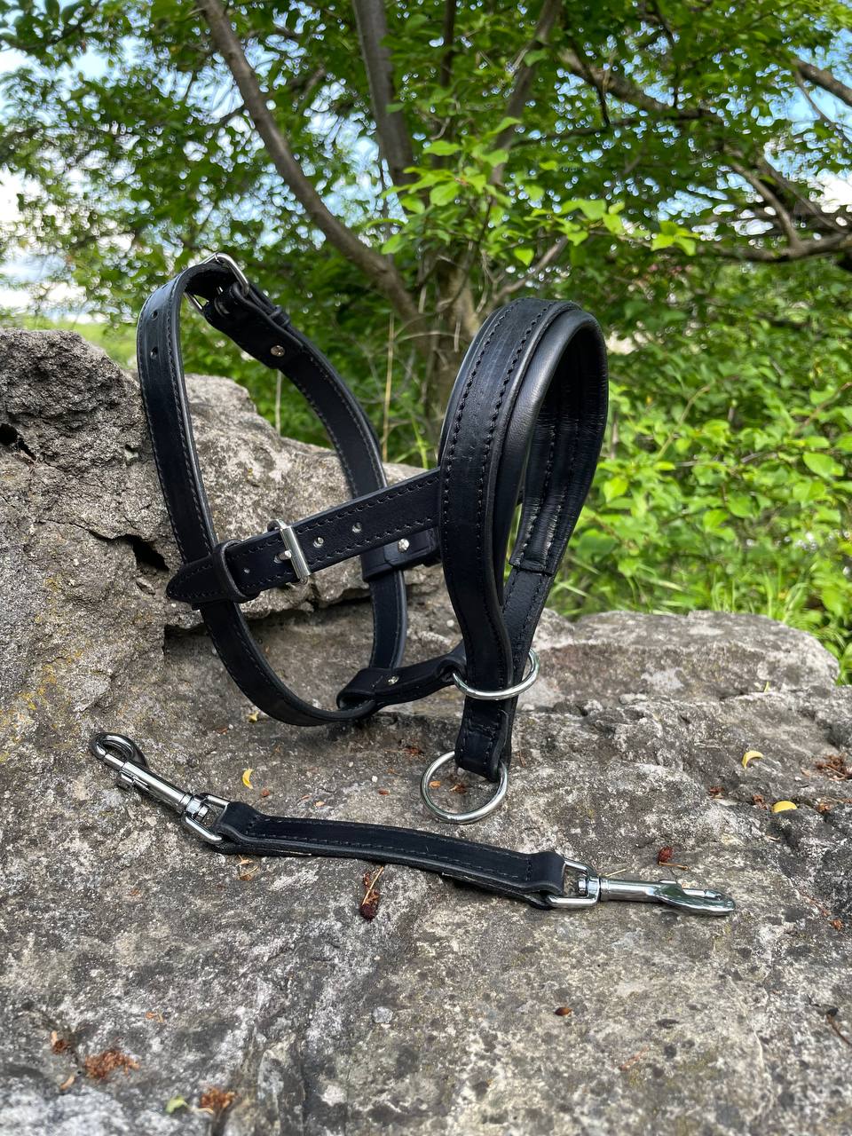 Leather Dog Head Collar, No Pull Head Halter, Adjustable Padded Headcollar for Medium & Large Dogs