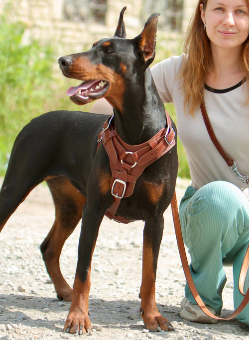 Anatomic Designed Leather Dog Harness with Handle