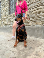 Full grain leather multifunctional 6 way dog leash