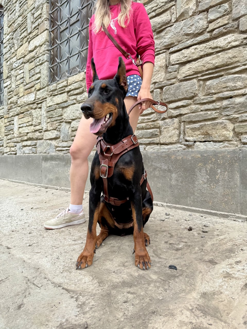 Full grain leather multifunctional 6 way dog leash