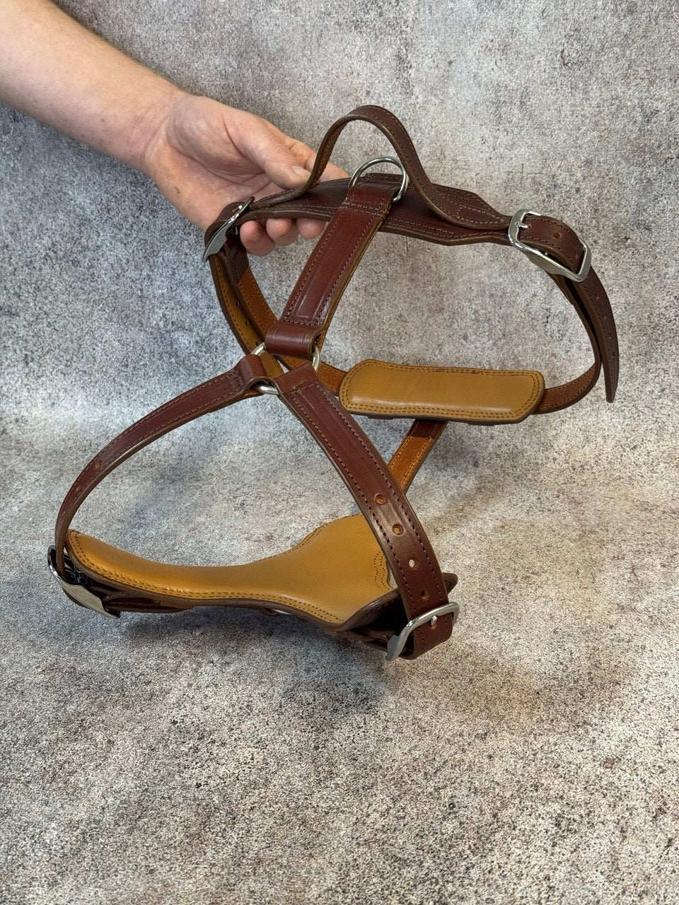 Luxury Leather Harness