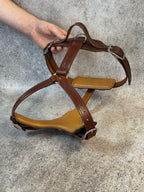 Luxury Leather Harness