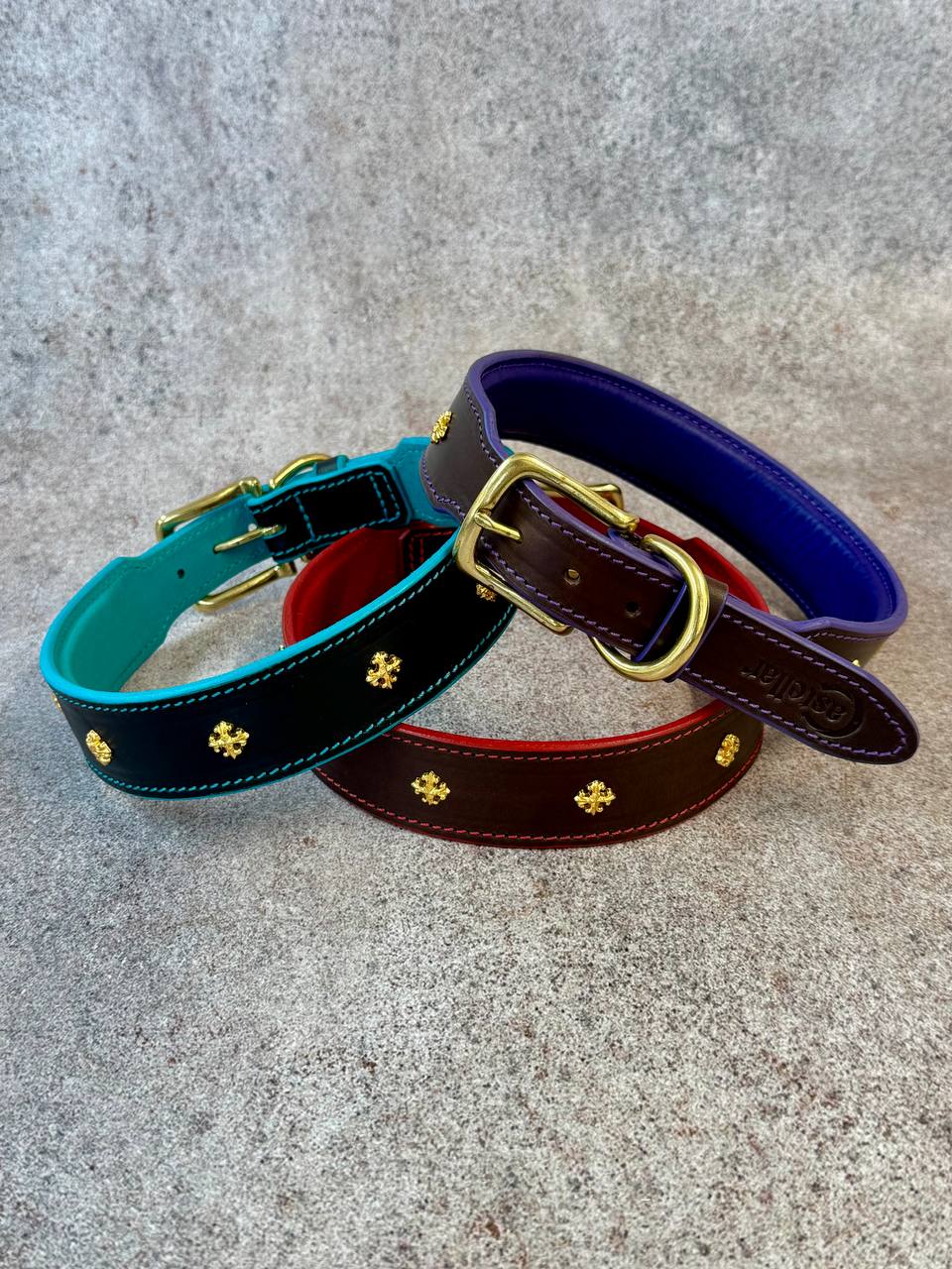 Royal Leather Dog Collar with Golden Plated Conchos 1.6 in Wide