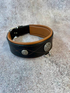 Premium Western Leather Dog Collar and Leash Set