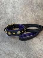 Luxury Black Leather Dog Collar with Purple Padding & Matching Leash