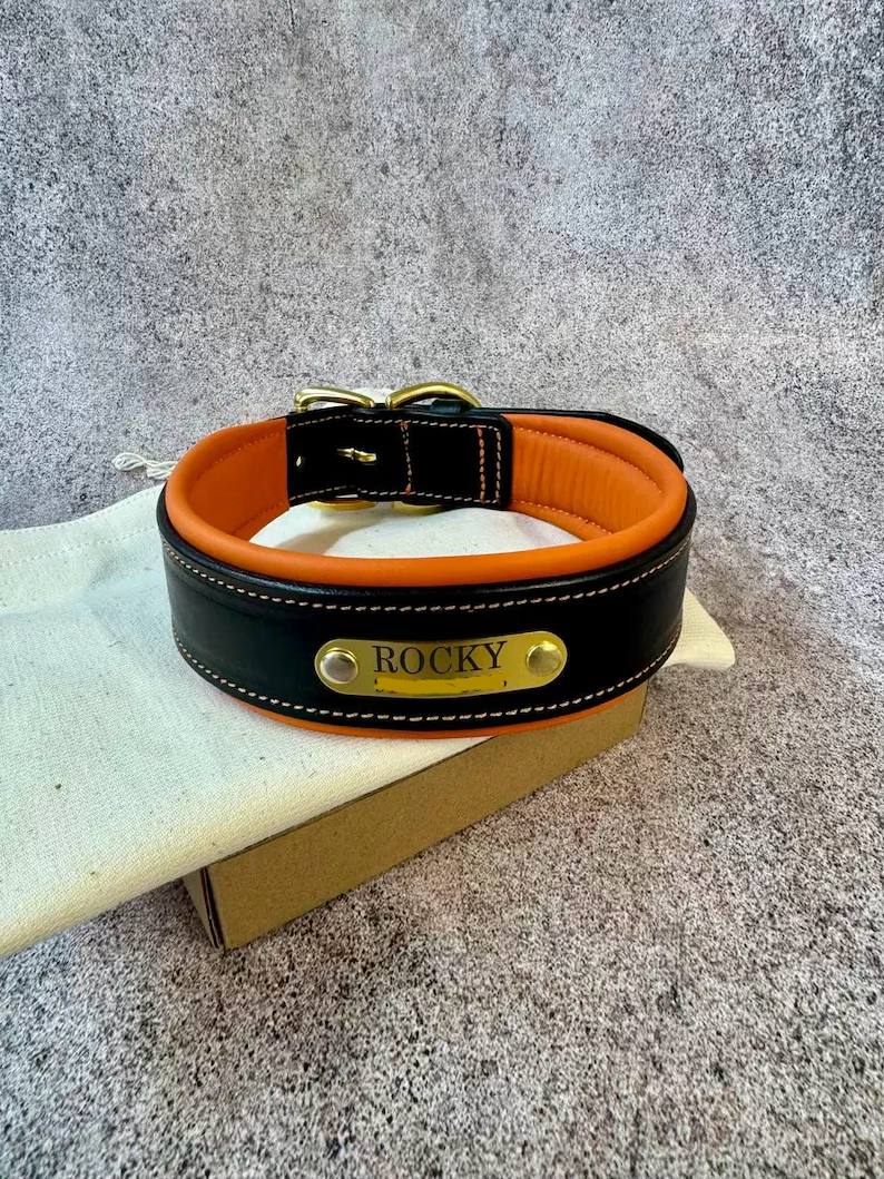 Custom Leather Dog Collar with brass nameplate
