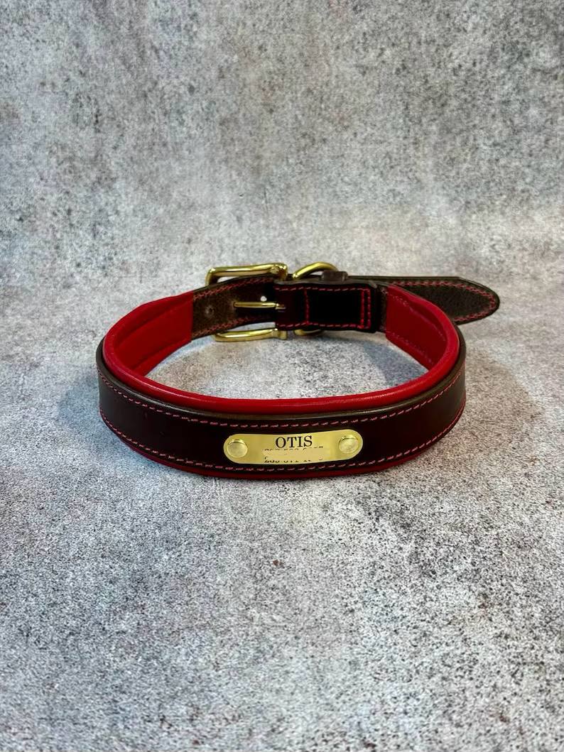 Custom Leather Dog Collar with brass nameplate