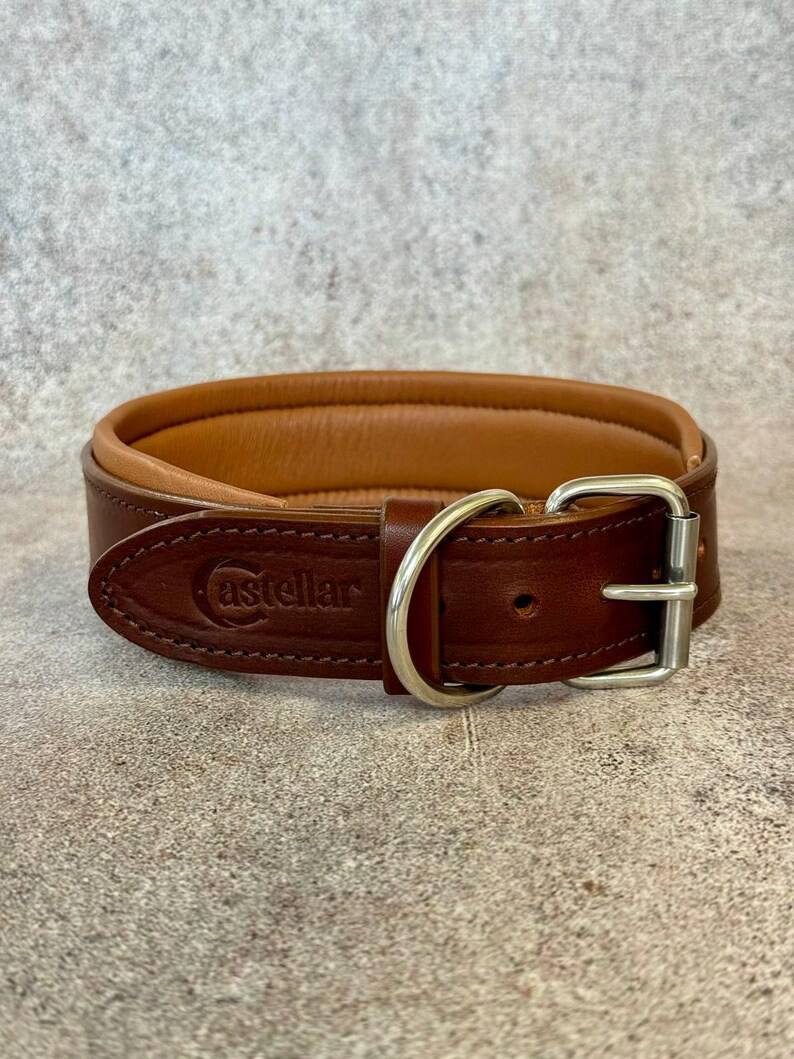 Custom Leather Dog Collar with brass nameplate