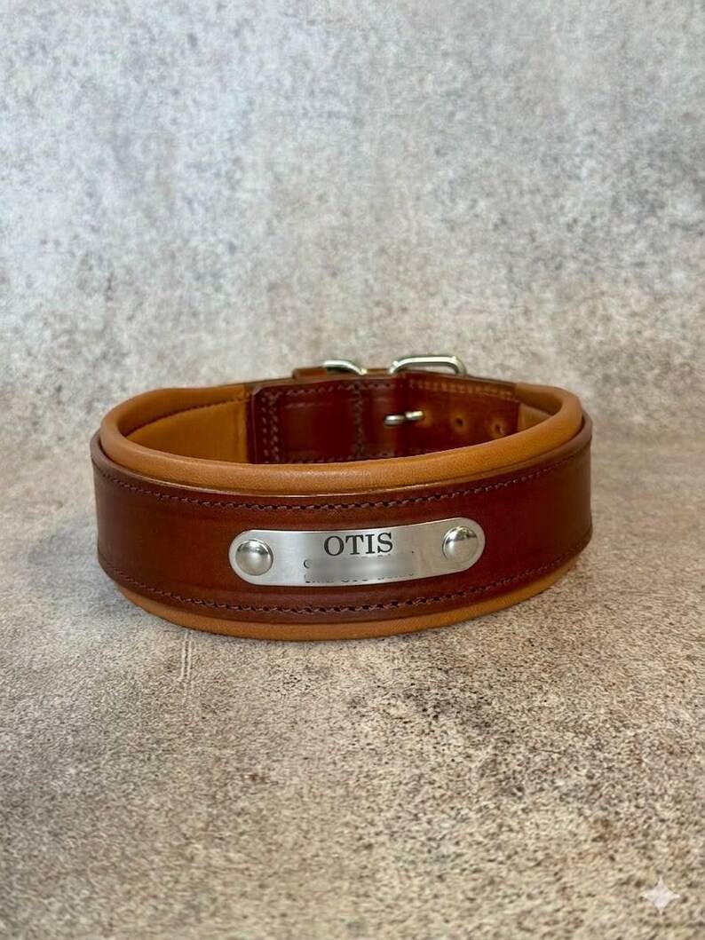 Custom Leather Dog Collar with brass nameplate