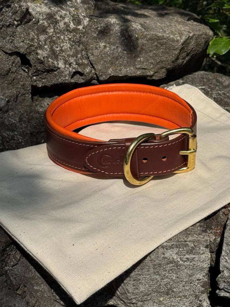 Custom Leather Dog Collar with brass nameplate