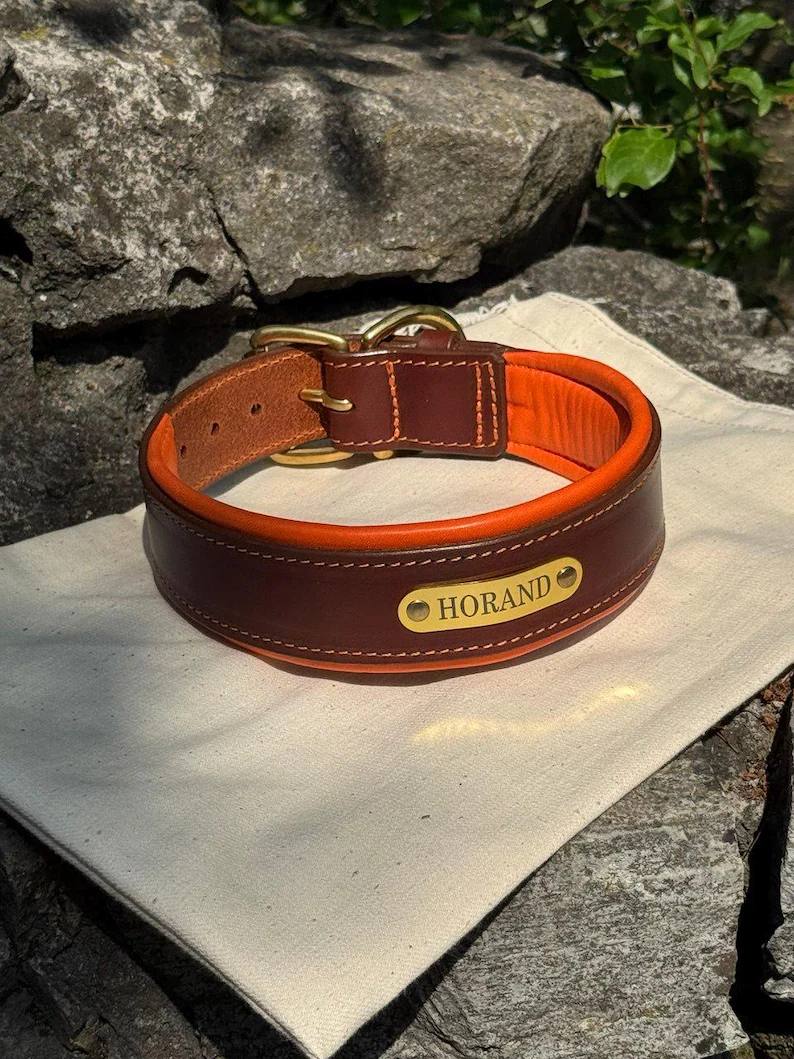 Custom Leather Dog Collar with brass nameplate