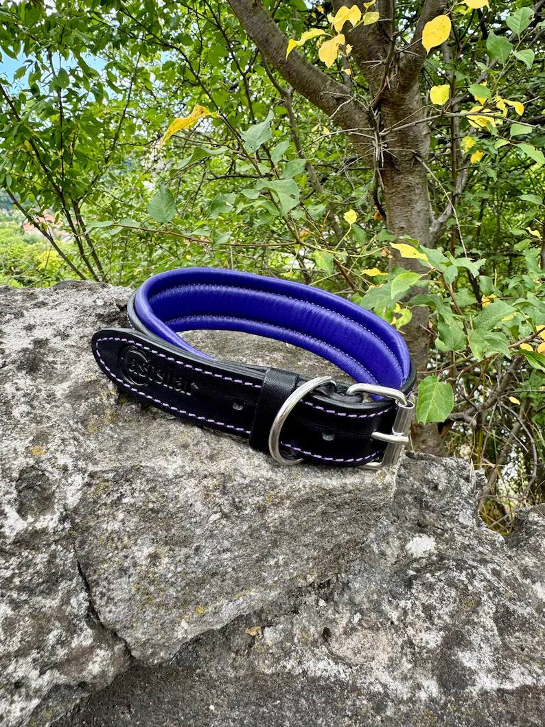 Custom Leather Dog Collar with brass nameplate