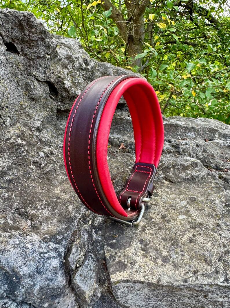 Custom Leather Dog Collar with brass nameplate