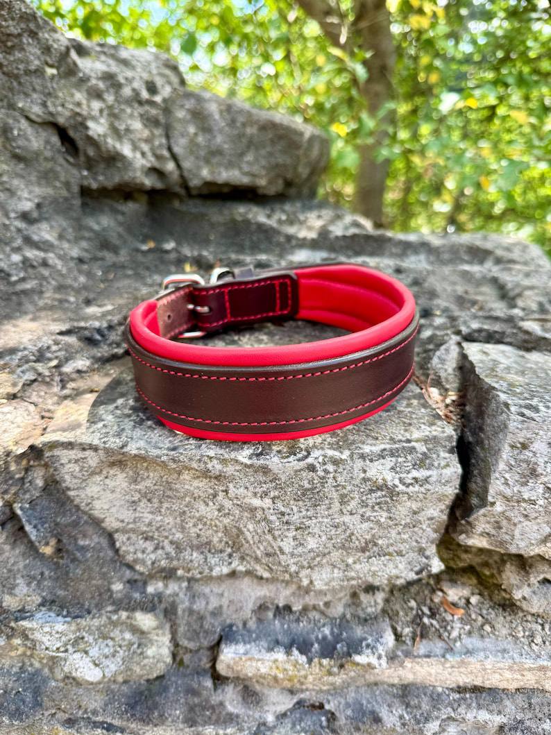 Custom Leather Dog Collar with brass nameplate