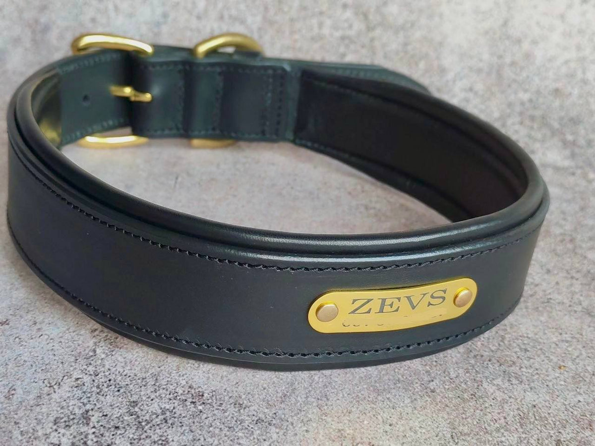 Custom Leather Dog Collar with brass nameplate