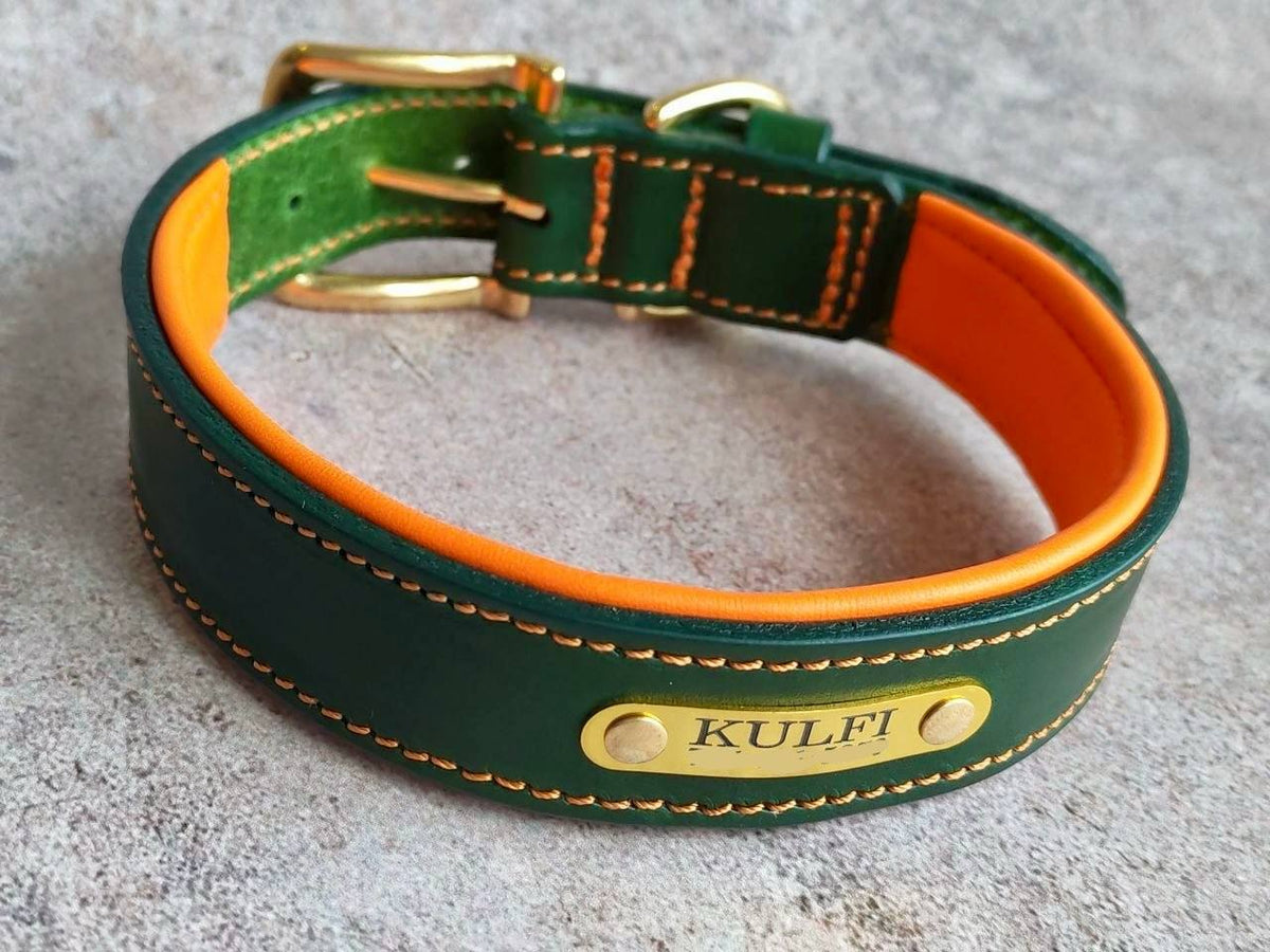 Custom Leather Dog Collar with brass nameplate
